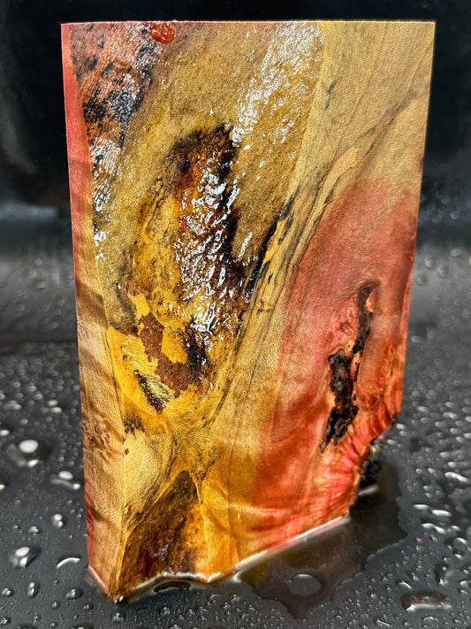 Stabilized spalted ambrosia maple Burl